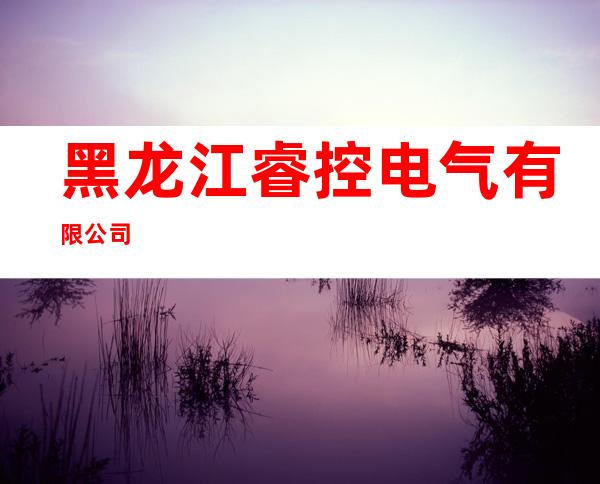 黑龙江睿控电气有限公司